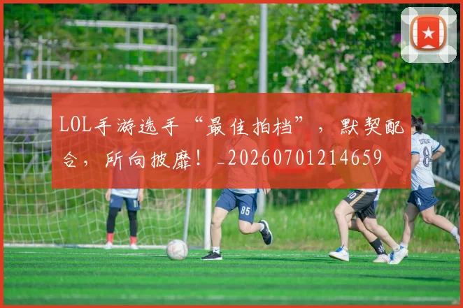 LOL手游选手“最佳拍档”，默契配合，所向披靡！_20260701214659