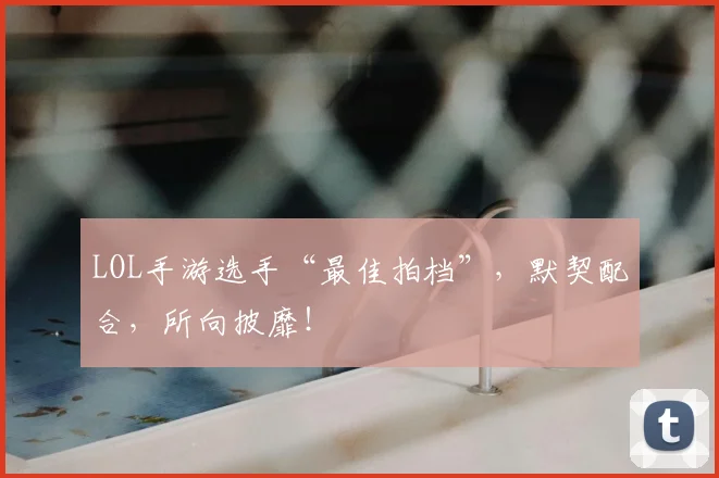 LOL手游选手“最佳拍档”，默契配合，所向披靡！